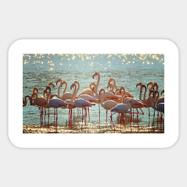 Flamingos Sticker by kawaii_shop